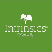 Intrinsics_San_Antonio